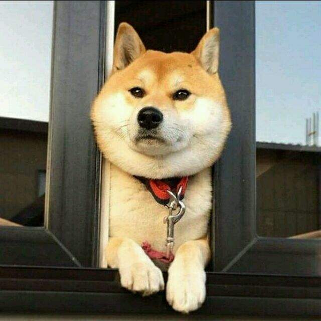 舊房翻新