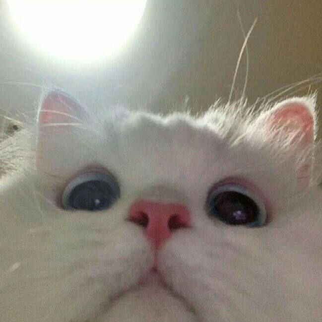 舊房翻新