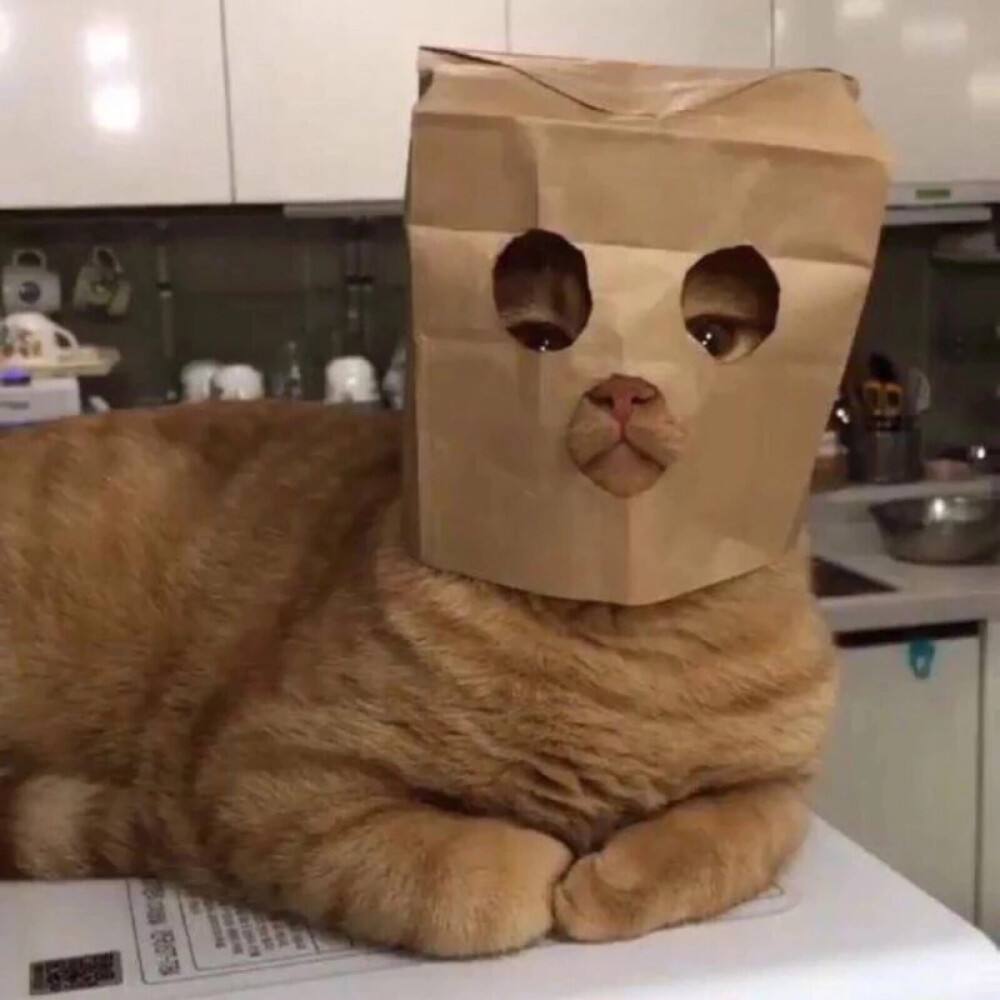 舊房翻新